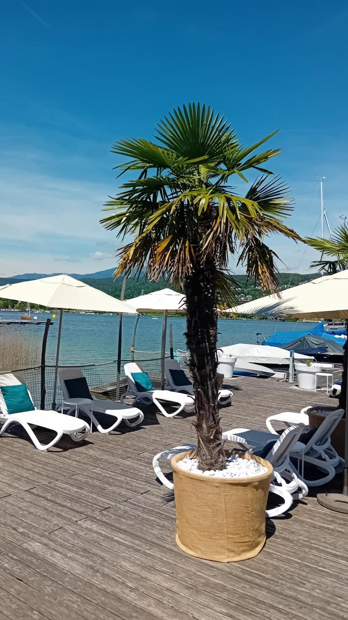 Tennis & Yacht Hotel Velden Velden am Woerthersee Exterior photo